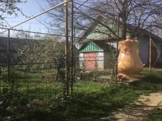 Se vinde casa in raionul Causeni in s. Grigorievca