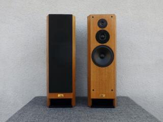 T+A Criterion TMR 80. Напольная акустика. HI-END