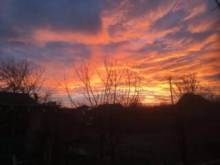 Выделим бесплатно Продадим, дачные участки на выбор на берегу Днестра