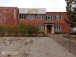 Готовый бизнес. Действующий ресторан Арго на первом этаже. Второй ...