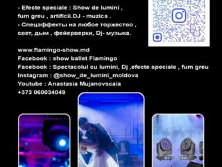 Show de lumini la evenimente. Lumina, fum, DJ, dansatori. Moldova