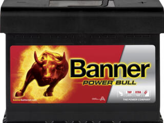 Power Bull P6219	  Dimensions: 241 × 175 × 190 mm. Înălțime: ...