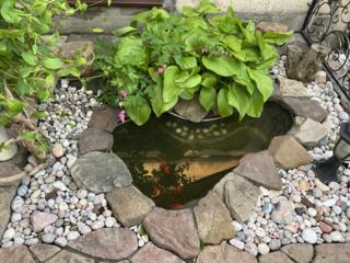 Ландшафт: КЛУМБЫ, АЛЬПИЙСКИЕ горки, ручьи и водопады