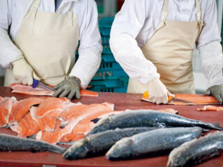 В Европу требуются работники на рыбный завод. Оплата до 3000 евро!