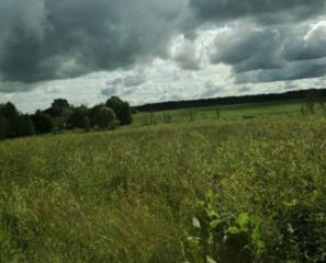 Предлагается к продаже участок 5 соток под садоводство и под ...