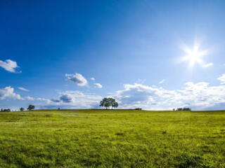 Предлагается к продаже земельный участок для ведения ...