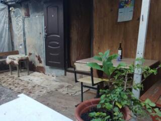 Предлагается к продаже двух этажный дом с садом и виноградником в ...