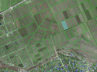Se vinde teren cu destinație agricolă amplaat în r-nul Criuleni, Co ..