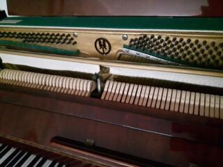 Пианино Аккорд 2М, с функцией клавесина, 3 педали. Самовывоз.