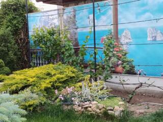 Новинка. Фотосетка. Купольные тенты прозрачные для накрытия бассейнов