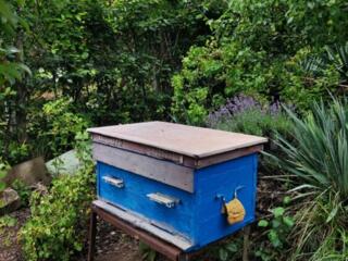 Ульи, медогонка и инвентарь для пчеловодства