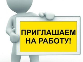 Кафе Крикова приглашает на постоянную работу Тех Персонал