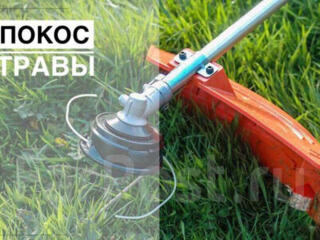 Распил деревьев