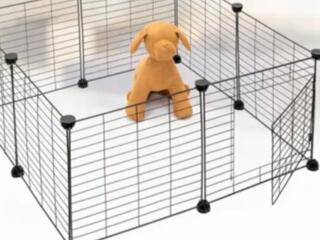 Для радости животных и комфорта хозяевам. Вольер для выгула