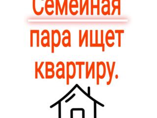 Семейная пара ищет квартиру