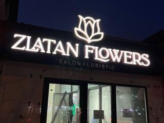 Litere voluminoase Moldova - Объемные Буквы - Наружная реклама