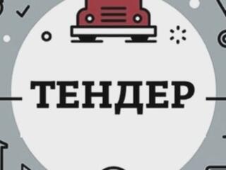 Помощь в подготовке тендерной документации