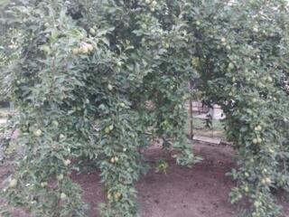 СОБСТВЕННИК. Продается 3-этажный частный дом с 2 утепл. гаражами