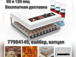 Инкубаторы автоматические 60 и 120 яиц