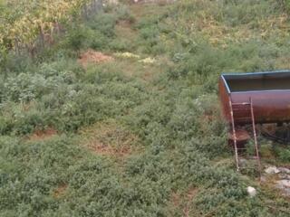 Ищу художника для оформления бочки