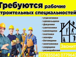 Требуются строители