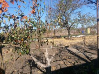 Срочно продам дачный участок по одесской трассе - есть кунг.