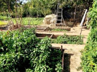 Терновка Дом с участком 14 соток и теплицами