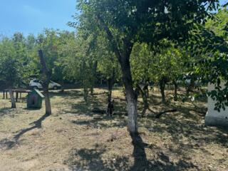 Скидка помещение аренда. Кишиневская