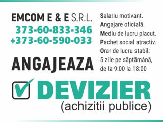 Devizier - specialist în achiziții publice