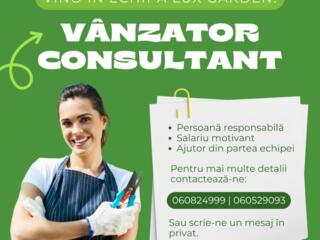 Angajăm VÂNZĂTOR-CONSULTANT Chișinău