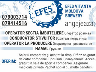 Efes Vitanta Moldova Brewery angajeaza: Operator secția îmbuteliere