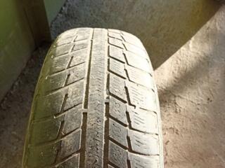 Продам одну шину Michelin R15/195/65 на докатку