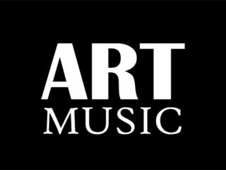 Музыкальный магазин ART MUSIC Бендеры открытие 29 сентября