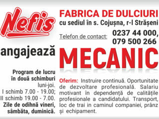 Fabrica de dulciuri "NEFIS" SRL angajeaza Mecanic