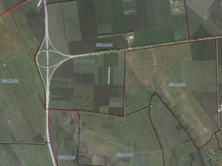 Vă oferim spre vânzare un teren agricol situat în Băcioi Noi, la doar 