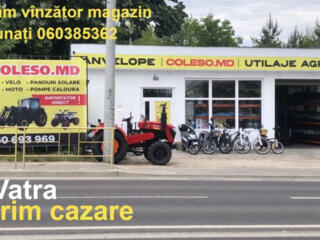 Vînzător magazin auto or. Vatra