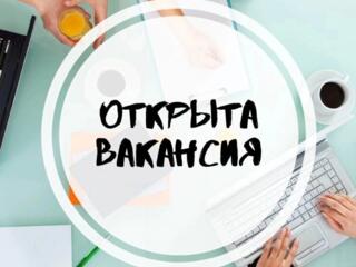 Требуется менеджер для работы в офисе! Высокая заработная плата