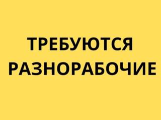 Требуется подсобные разнорабочие работа в Бельцах, оплата еженедельно