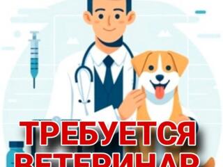 Требуется ветеринар в ветаптеку