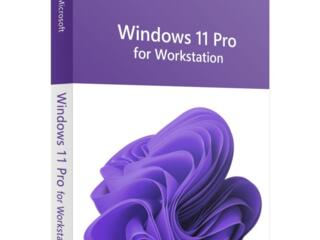 Windows 11 Pro for Workstations