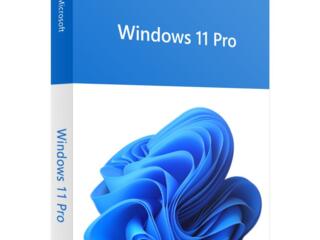 Windows 11 Pro 32/64 Bit