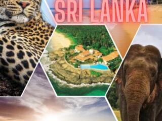 Vacanta exotica in SRI LANKA. Zbor direct din chisinau de la 638 eur