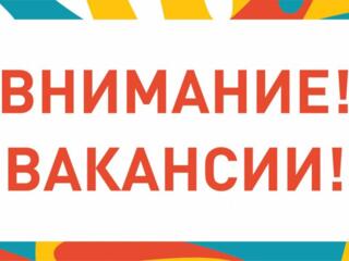 Работа в Гермнаии для тех у кого есть украинский паспорт.