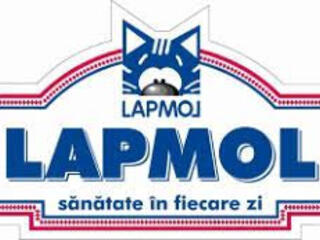 LAPMOL SRL- angajeaz, Chisinău , Poșta Vache Hamali de noapte și zi