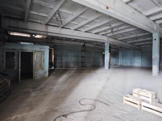 Склад 1300м2, зем. участки 3 Га, г. Бируинца, 7км от мун. Бельцы