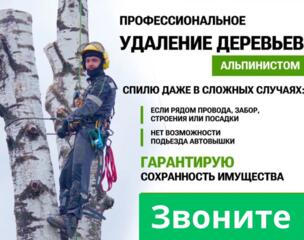 СПИЛ ДЕРЕВЬЕВ С АВТОВЫШКИ