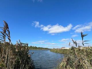 Терміново! Продам ділянку на березі озера пригорд Одеси