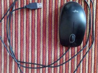 Компьютерная мышь Logitech B100