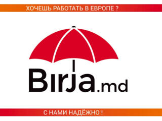 Легальная работа с Birja. md для всех. Быстрые выезды, звоните!