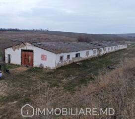 Teren agricol, loc. Socoleni, r-nul Anenii Noi Vă propunem spre ...